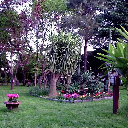 Guest house La Semenza Torre Archirafi